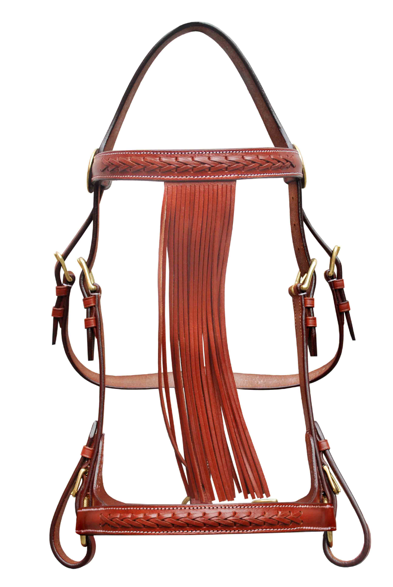 Spanish leather bridle with fringe
